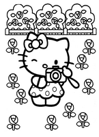 do pomalowania rysunek hello kitty z aparataem fotografuje okolicę